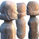 Thumb �evolution